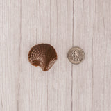 bite-sized seashell in milk chocolate. Individually wrapped.