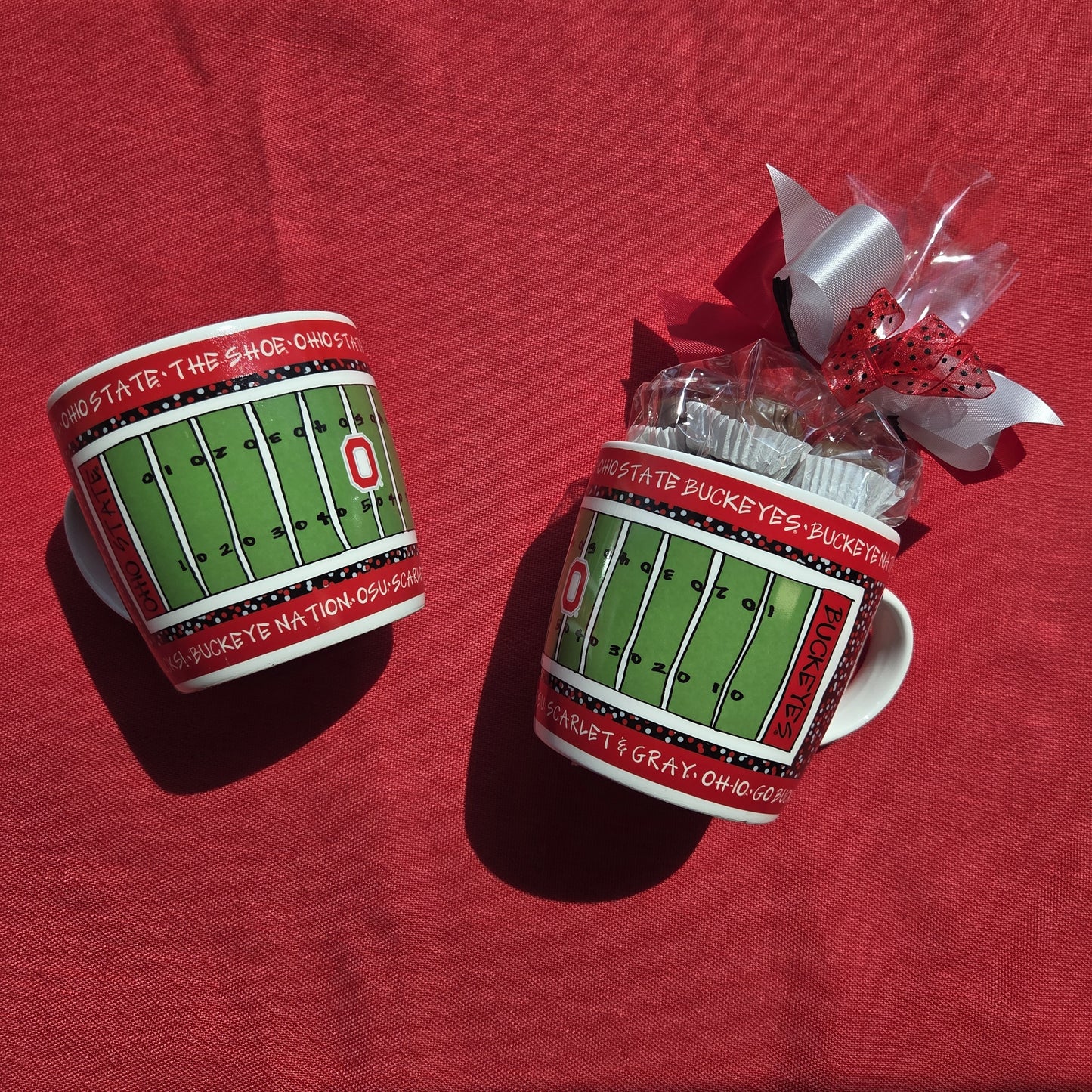 Ohio State Satdium Mug