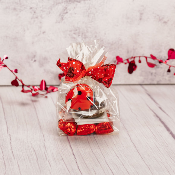 goodie bag includes a spinning windup ladybug and a few pieces of candy.
