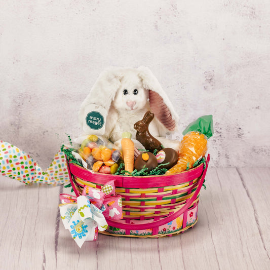 a colorful Easter basket filled with candy and a stuffed plush bunny rabbit. Choose a boy or girl themed basket