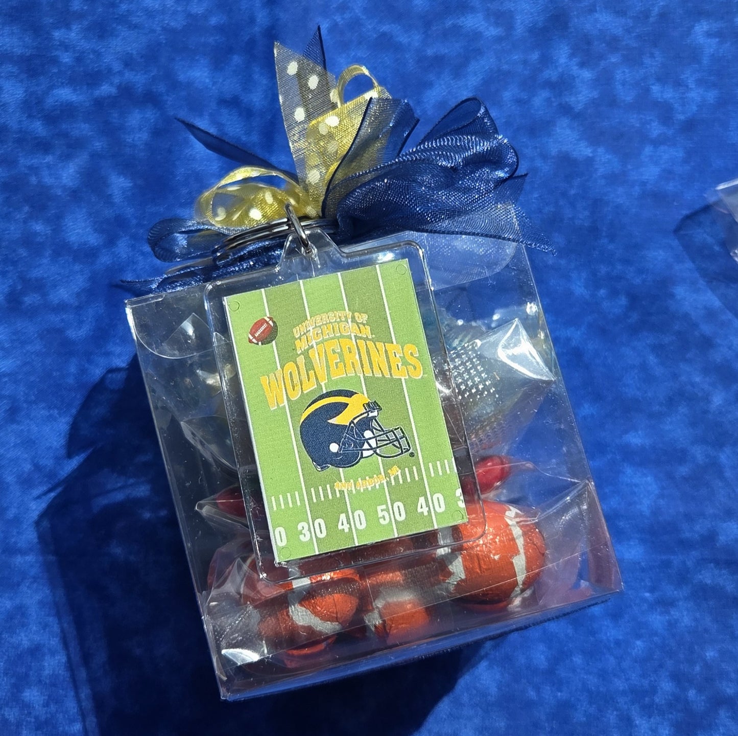 Michigan Helmet Keychain