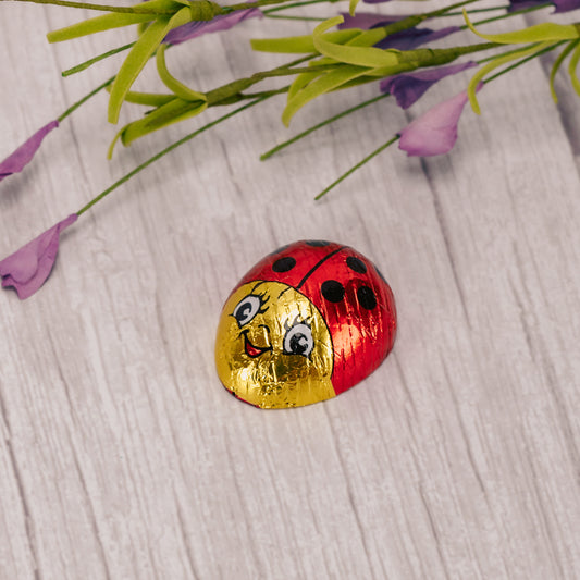 bite-sized milk chocolate wrapped in ladybug foil.