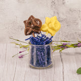 A daffodil flower on a sucker stick in milk chocolate or white coating.