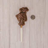 a cute milk chocolate bear on a sucker stick