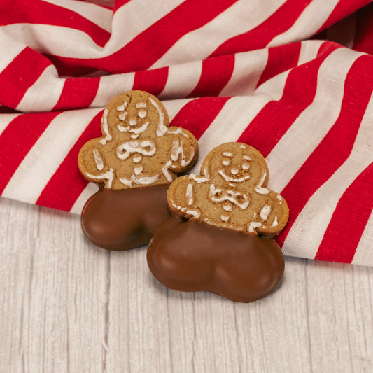 two gingerbread cookies have their pants dipped in milk chocolate