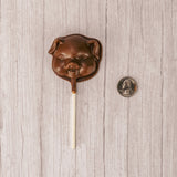 a small milk chocolate pig face on a sucker stick.