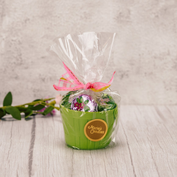 Friends and family will enjoy a quarter pound of supreme Milk Chocolate Foil Violets that come packaged in a small, but cute, colorful basket. Placed in a clear cello bag and tied with a ribbon bow; perfect for party favors or just a small gift. Assorted basket colors.