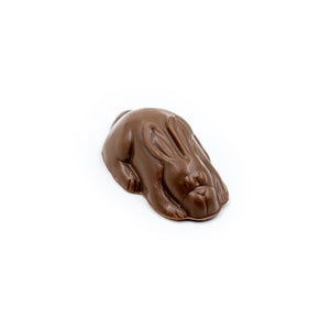 a small, timid milk chocolate bunny