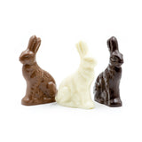 Taller than Bobbi Baby Bunny, Honey Bunny comes in milk or dark chocolate or white coating (like white coating)